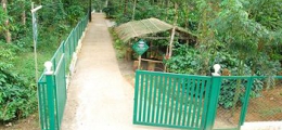 , Munnar, Resort Hotels