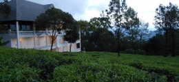 , Munnar, Hotels