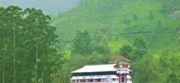 , Munnar, Hotels