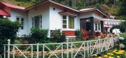 , Munnar, Hotels