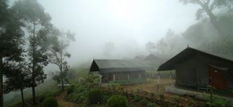 , Munnar, Resort Hotels