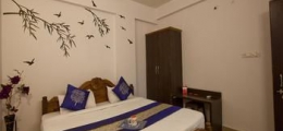 , Bhopal, Hotels