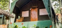 , Munnar, Hotels