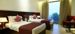 , Ambala, Hotels