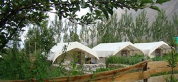 , Hunder, Tent Houses