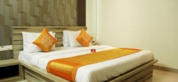 , Hisar, Hotels