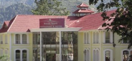 , Srinagar, Hotels