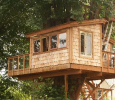 Tree House