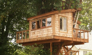 Tree House