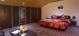 , Srinagar, Hotels
