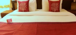 OYO Rooms 100ft Road Udaipur